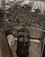 Image #27112352306534964