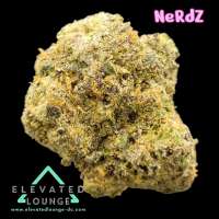 An image of Nerdz