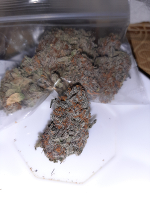 An image of GMO x Purple Punch