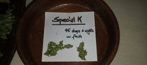 An image of Special K