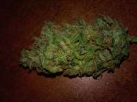 Auto Jock Horror archive 3