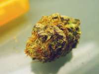 An image of New York Power Diesel