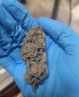 Rave Candy archive 1