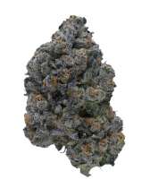 Flight Path archive 1