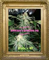 Badazz Cookies OG archive 3
