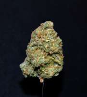 10th Tempest archive 0