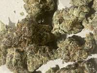 Tempest Breath archive 2