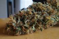 An image of Fruity Juice