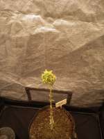 Image #21092486064347204