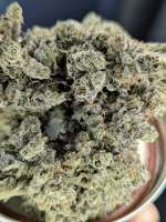 HashBurger archive 1