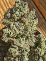 HashBurger archive 3