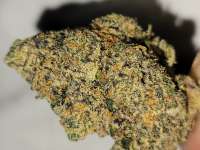 Jealous Mike archive 1