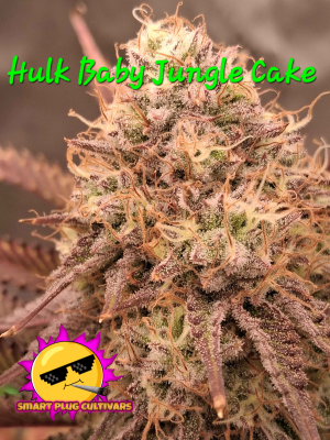 An image of Hulk Baby Jungle Cake
