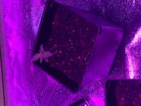 Bahama Mama archive 3