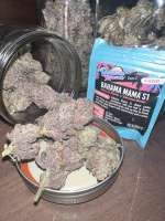 Bahama Mama: strain page photo, credit seedfinder.eu, copyright status shown with credit copyright unverified
