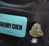 Cherry Chem: strain page photo, credit seedfinder.eu, copyright status shown with credit copyright unverified