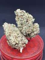 Hammer Island archive 1