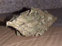 Hammer Juice archive 1