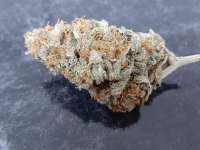 An image of Toxic Cherry Bomb