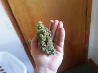 Ace of Spades archive 4