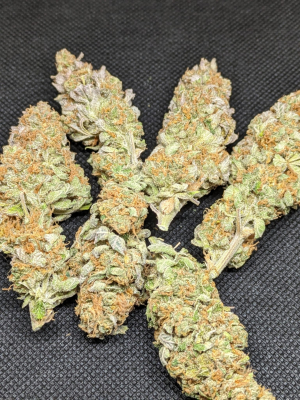 An image of Sour Tangie Dawg