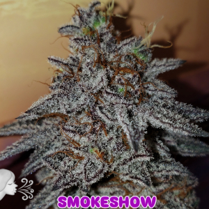 An image of Smokeshow