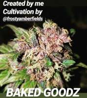 BakedGoodz archive 1