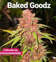 BakedGoodz archive 3