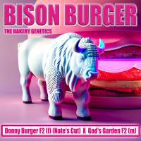 An image of Bison Burger