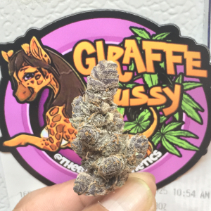 An image of Giraffe Pussy