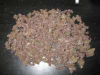 An image of Blackwater