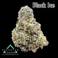 An image of Black Ice