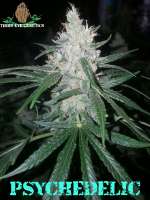 An image of Psychedelic