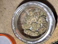 Pure Michigan: strain page photo, credit seedfinder.eu, copyright status shown with credit copyright unverified