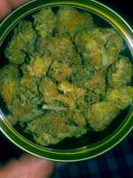 Grape Gas: strain page photo, credit seedfinder.eu, copyright status shown with credit copyright unverified