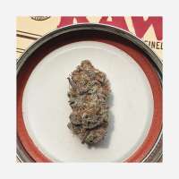 Jolly Rancher archive 3