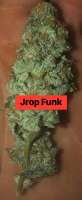 An image of Jrop Funk