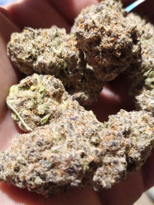 Purple Punch: strain page photo, credit seedfinder.eu, copyright status shown with credit copyright unverified