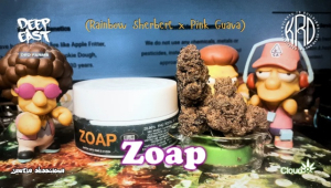 Zoap: strain page photo, credit seedfinder.eu, copyright status shown with credit copyright unverified