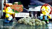 Afghan Kush: strain page photo, credit seedfinder.eu, copyright status shown with credit copyright unverified