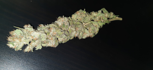 An image of Banana Kush