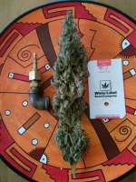 Nicole Hindu Kush archive 1