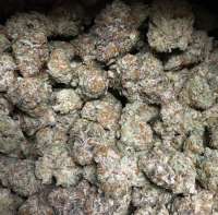 Eternal Purple archive 3