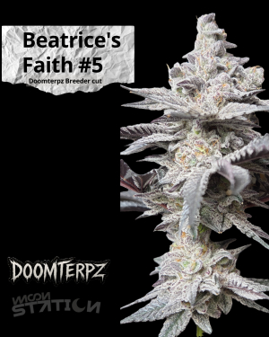 An image of Beatrice's Faith