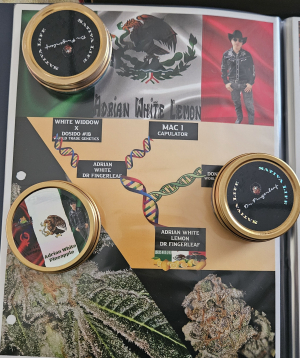 Adrian White archive 1