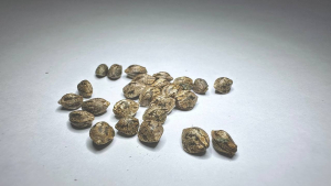 An image of Obsidian Flow Auto