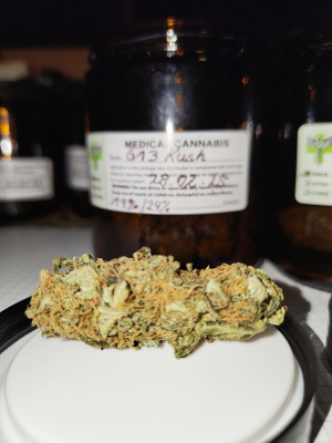 An image of G13 Kush