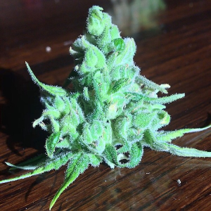 An image of Cherrywine
