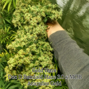 An image of Ozark GHG 4.0