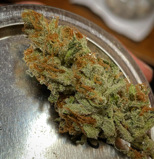 An image of Caramel Fizz 